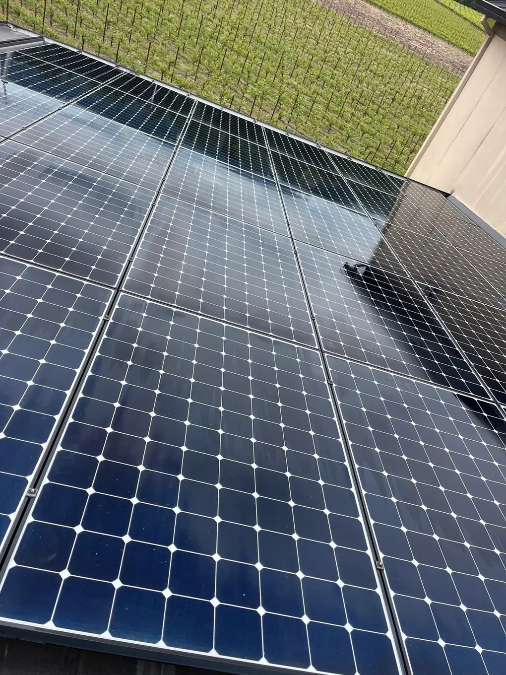 Rooftop solar panels overlooking vineyard rows at a Yountville winery