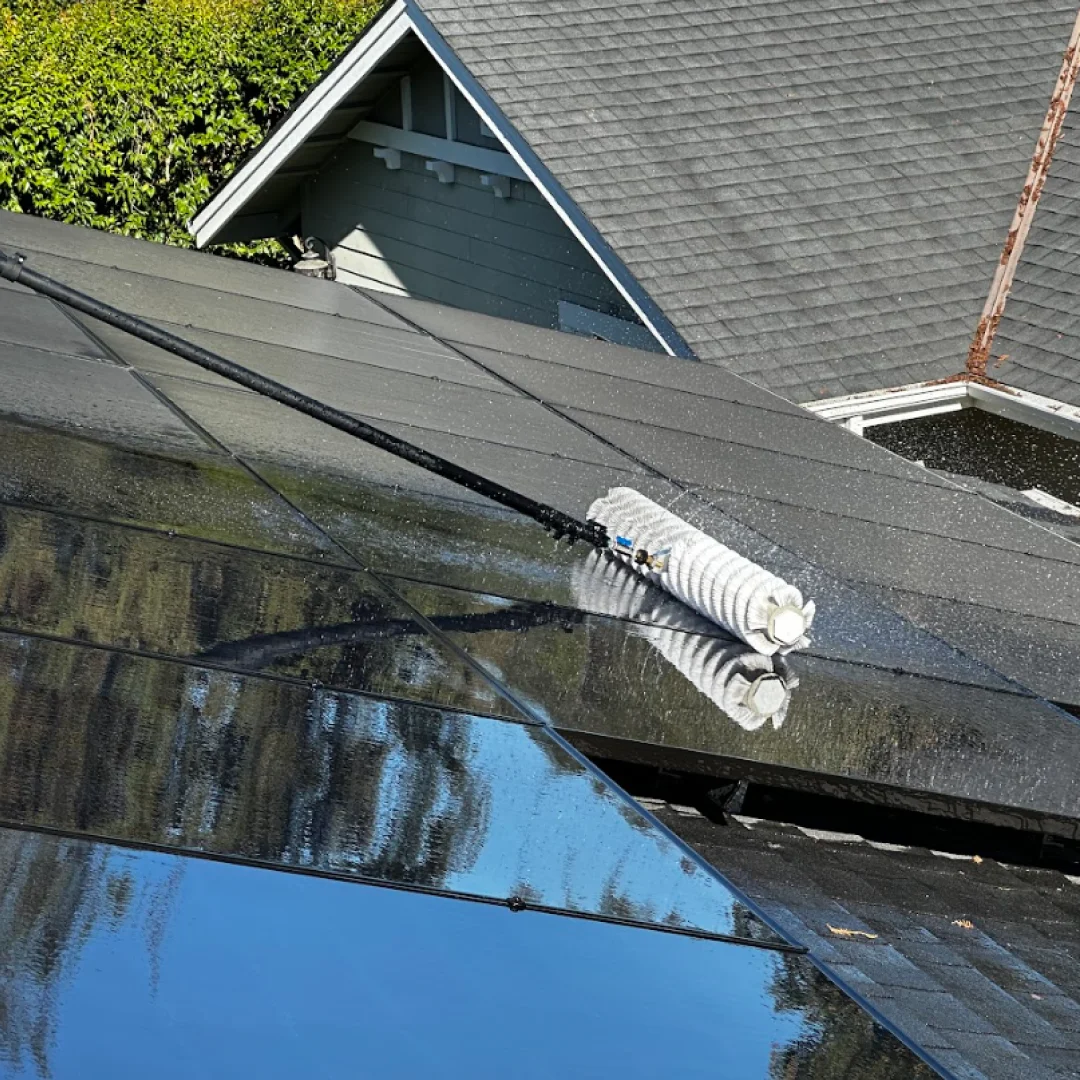 Residential solar panel cleaning, Alamo, CA