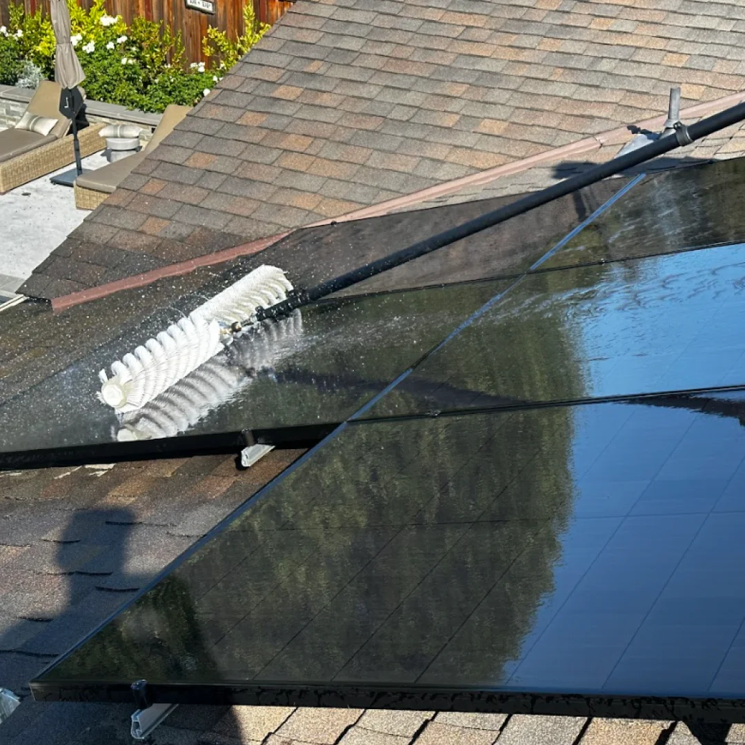 Solar panel maintenance service in Danville removing bird droppings and environmental buildup